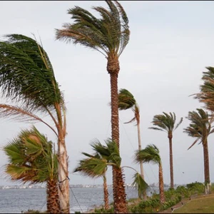 رياح نشطة وغبار محتمل على أجزاء من وسط وغرب المملكة 