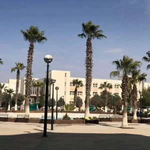 الأردن | جامعة مؤتة تعلق دوام الطلبة اليوم بسبب الحالة الجوية والتحول إلى التعليم عن بعد