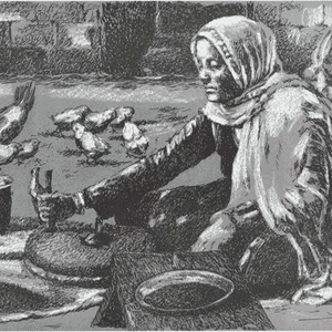 العجوز تتفوق هذا الموسم على 