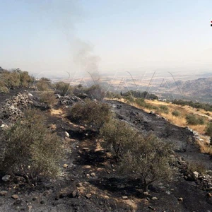 Syrie | En raison des fortes chaleurs... Les feux de forêt se poursuivent dans l&#39;ouest du pays, et les équipes de pompiers peinent à les éteindre
