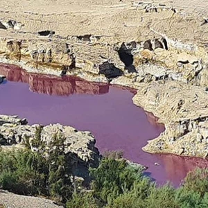 بعد التحاليل.. الكشف عن سر 