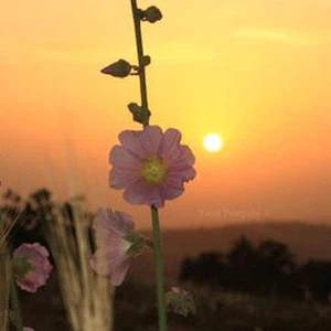 Jordanie | Détails de la météo attendue dans toutes les régions du Royaume ce mercredi
