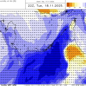 UAE: A wave of dense fog will cover large areas of the country in the coming nights.