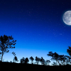 ليالي لطيفة شمال السعودية خلال الايام القادمة