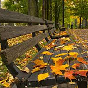 30 يوماً تفصلنا عن بدء الخريف فلكياً  