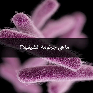 ما هي جرثومة الشيغيلا.. وكيف يمكن علاجها وتجنب الإصابة بها؟