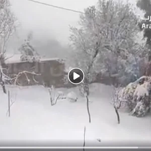 Snow accumulations reach 25 cm in the heights of Ajloun