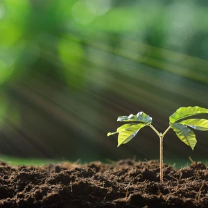 Soil pollution is a great danger that affects our health, our lives, and the health of living beings on Earth