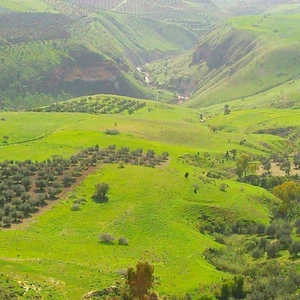 فلسطين : ارتفاع كبير على درجات الحرارة اعتباراً من الاثنين وحتى الأربعاء