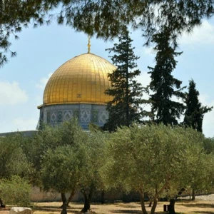 حرارة أدنى من مُعدلاتها السنوية معظم أيام الأسبوع الأول من شهر أيلول