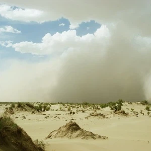 الثلاثاء.. رياح شرقية نشطة وغبار محتمل على غرب المملكة صباحًا