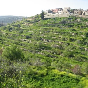 الطقس المُتوقع خلال عطلة نهاية الأسبوع في فلسطين