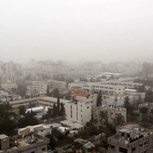 صورة أرشيفية