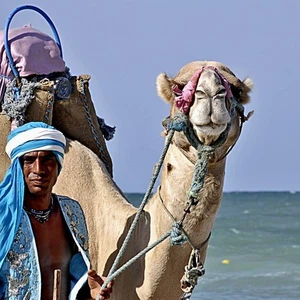 What are the best seasons to travel to Tunisia?