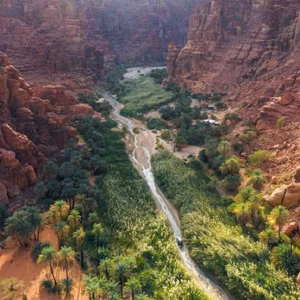 En savoir plus sur Tabuk... et les lieux les plus célèbres à visiter