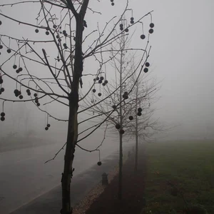 طقس العرب.. سبب رفع تصنيف المنخفض الجوي للدرجة الرابعة هو غزارة وكمية الأمطار وليس لاسباب متعلقة بالثلوج