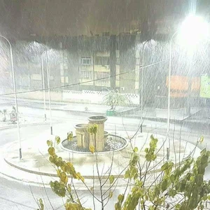 بالصور... الثلوج تكسو مدن الشمال الجزائري