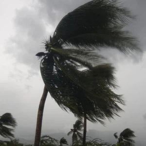 شاهد البث المباشر لتأثيرات الإعصار ماثيو على سواحل ولاية فلوريدا الأمركية  