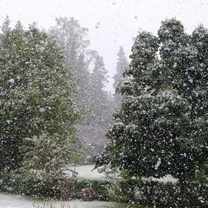 بالصور : الثلوج تزور استونيا في شهر حزيران لأول مرة منذ 32 عاما ! 