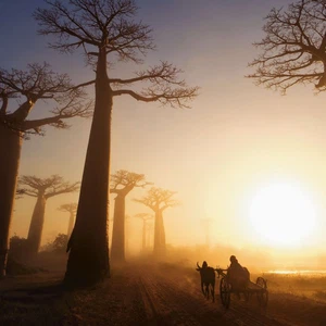 5 raisons de voyager à Madagascar