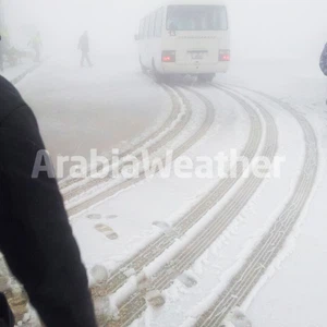 بالصور: كما توقع طقس العرب .. صباح أبيض في مرتفعات جنوب المملكة 
