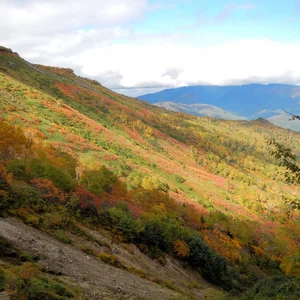 In pictures: 6 places to witness the wonderful fall colors in Japan