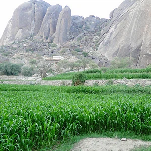 En images, le mont Shada, en bas, embrasse une belle `cicatrice`.