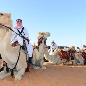 أجمل الصور من مهرجان الجنادرية 29