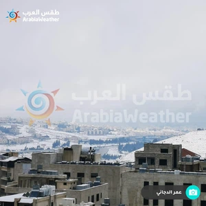 ثلوج الأردن | لوحات فنية مميزة من صنع الخالق 16 - 19 / 2 / 2021