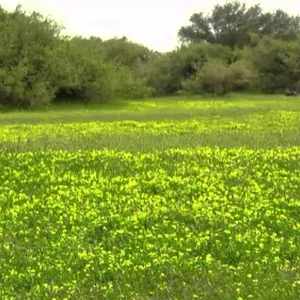 أفضل  أماكن "الكشتات" في الرياض للهروب من صــخب المدينة إلى صمت الصحراء 