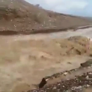 أمطار الخير تُجري الأودية والشعاب في أجزاء من إمارة العين 