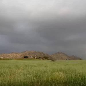 الربيع يُحول خميس حرب من أرضٍ جرداء إلى جنة خضراء  