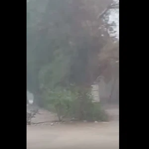 شاهد كيف تساقطت الأمطار بغزارة في منطقة العبدلي