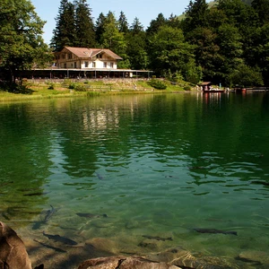 In pictures: the Swiss city of Lausanne, a picture of nature