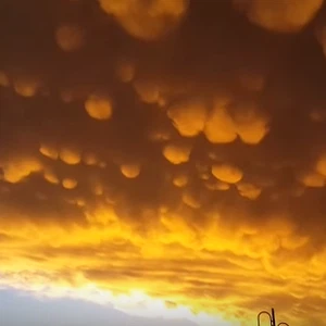 سحابة الماماتوس تظهر في سماء أبها.. والزعاق يذكر أنواعها