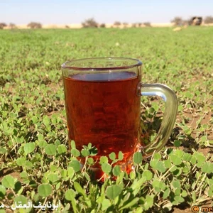 الشاي و الربيع .. متعة السعوديين