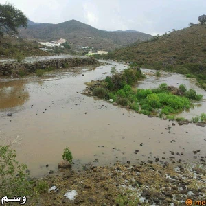 بالصور: أمطار وبَرَد على منطقة السودة في أبها عصر أمس 