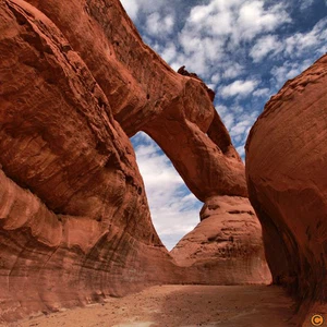 Voir les photos : le mont Al-Mahjah dans le Royaume est similaire au Wadi Rum en Jordanie