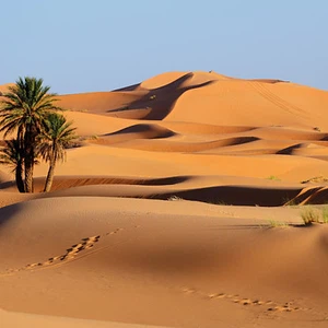 بالصور: 10 صحارى مذهلة يمكن السفر إليها خلال فصل الخريف