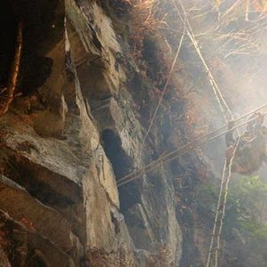 See pictures of how honey is collected in the largest beekeeping area in the world