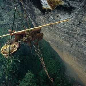 See pictures of how honey is collected in the largest beekeeping area in the world