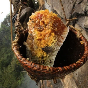 See pictures of how honey is collected in the largest beekeeping area in the world