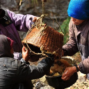 See pictures of how honey is collected in the largest beekeeping area in the world