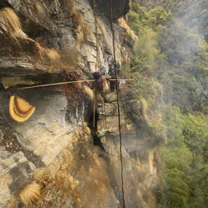 See pictures of how honey is collected in the largest beekeeping area in the world