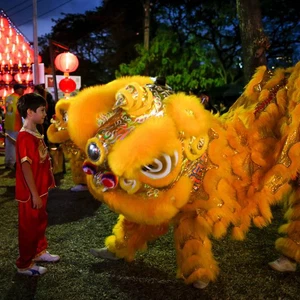 Photos des célébrations mondiales du Nouvel An chinois.. l&#39;année du coq