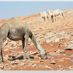 سُحب السعودية في الحالة الماطرة .. صور تتجلى فيها عظمة الخالق 