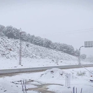 تونس والجزائر.. تساقط للثلوج على ارتفاعات وصلت 400 متر 
