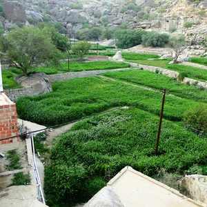 En images, le mont Shada, en bas, embrasse une belle `cicatrice`.