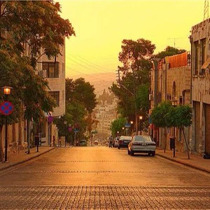 En images : découvrez la beauté de la nature et de la vie en Jordanie