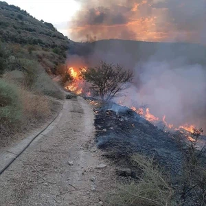 بالصور | حرائق في المزارع بمنطقة دير ابي سعيد غرب اربد منذ ساعات العصر ومستمر حتى الآن